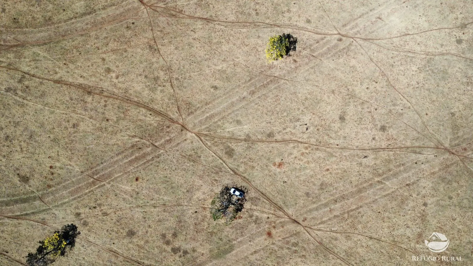 Fazenda à venda de 142 ha em Figueirão, MS, Brasil