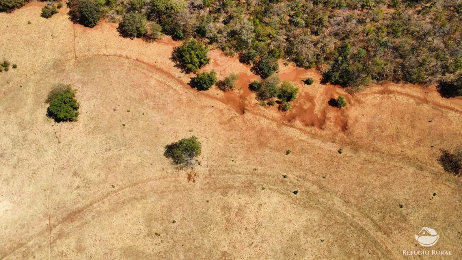 Fazenda à venda de 142 ha em Figueirão, MS, Brasil