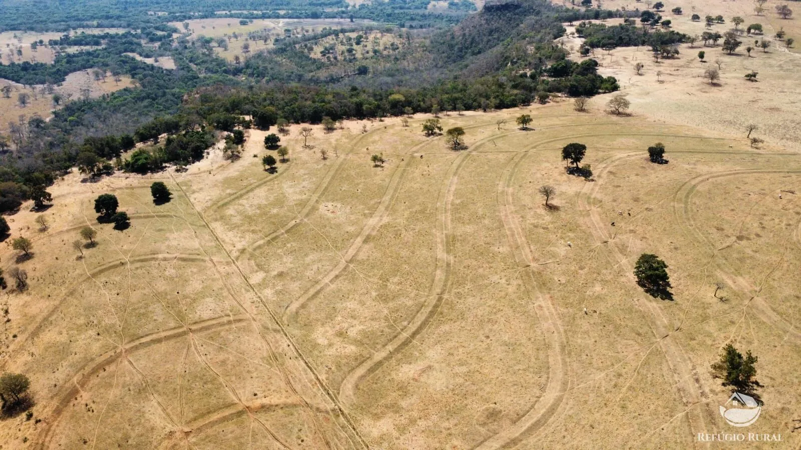 Fazenda à venda de 142 ha em Figueirão, MS, Brasil