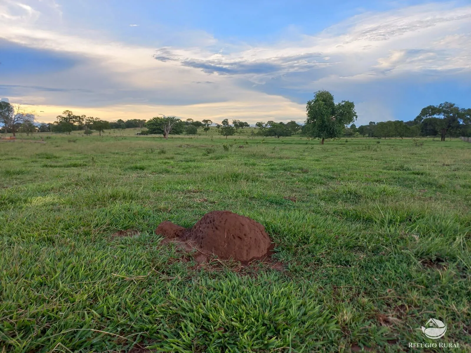 Fazenda à venda de 142 ha em Figueirão, MS, Brasil