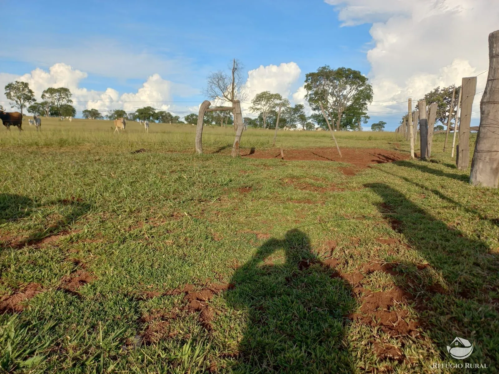 Fazenda à venda de 142 ha em Figueirão, MS, Brasil