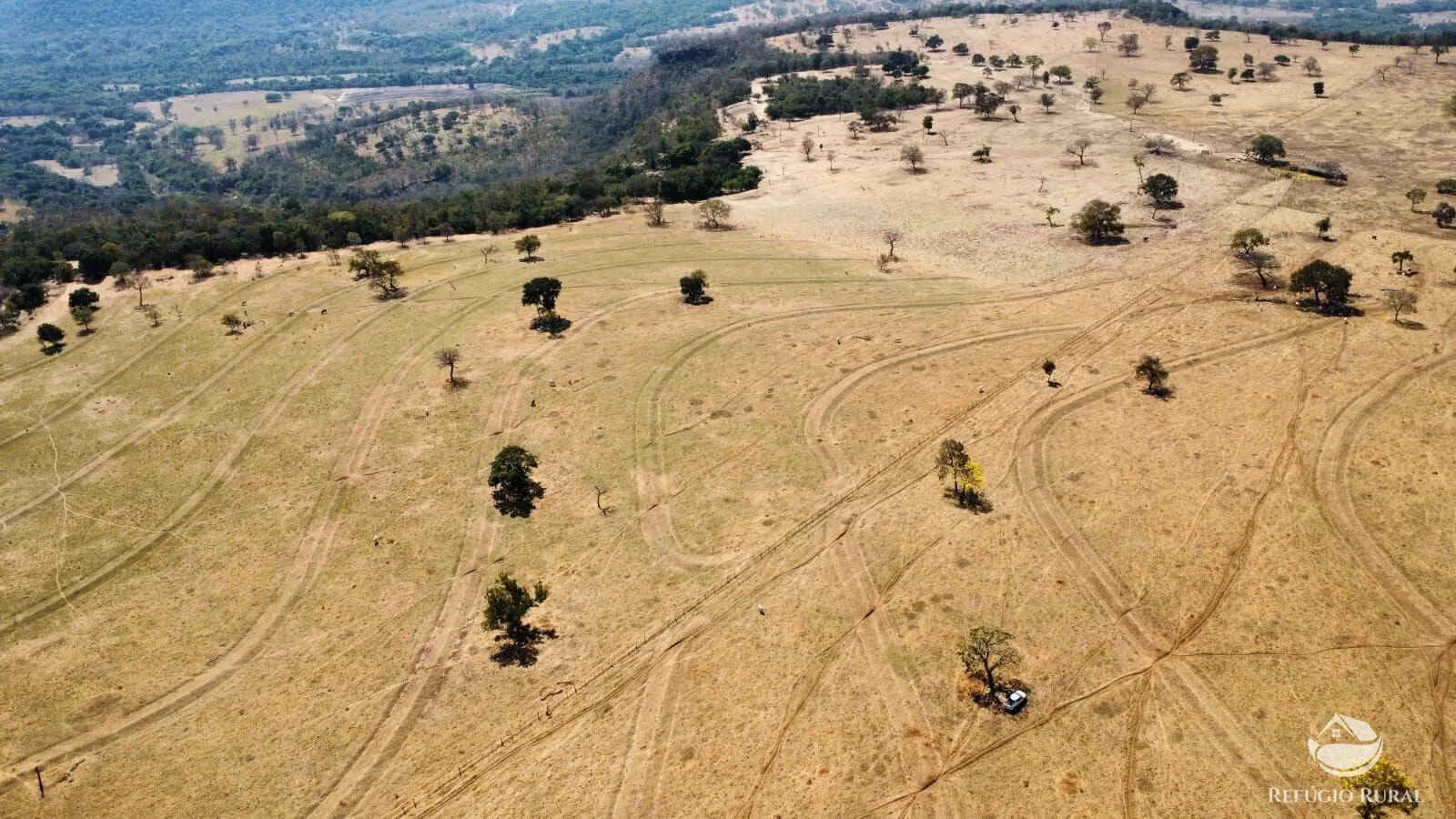 Fazenda à venda de 142 ha em Figueirão, MS, Brasil