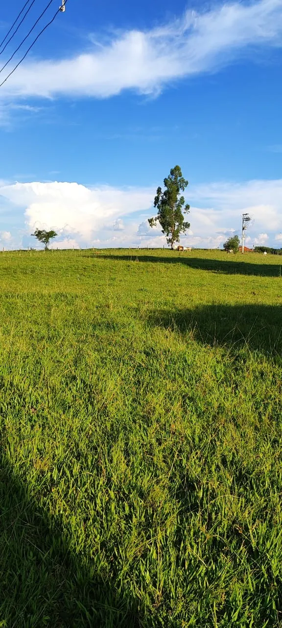 Country home for sale of 30 acres in Itapetininga, SP, Brazil