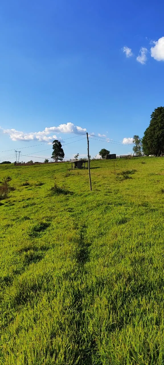 Country home for sale of 30 acres in Itapetininga, SP, Brazil