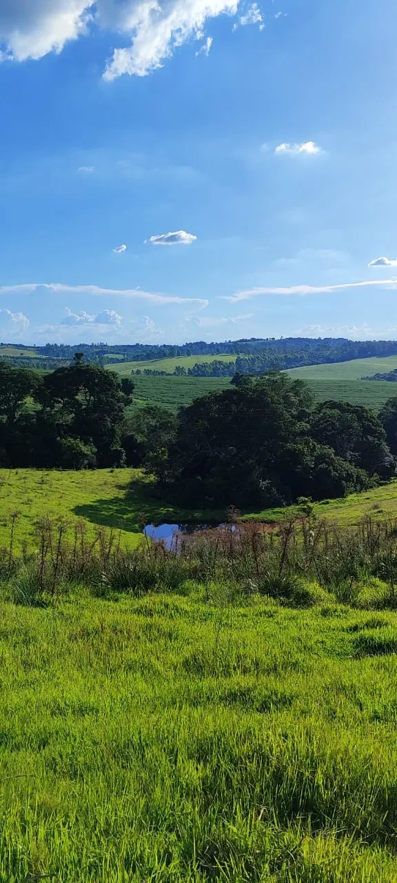 Country home for sale of 30 acres in Itapetininga, SP, Brazil