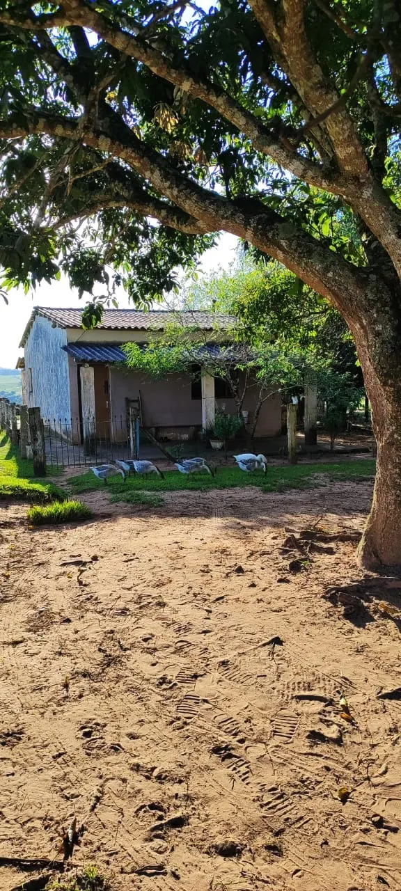 Country home for sale of 30 acres in Itapetininga, SP, Brazil