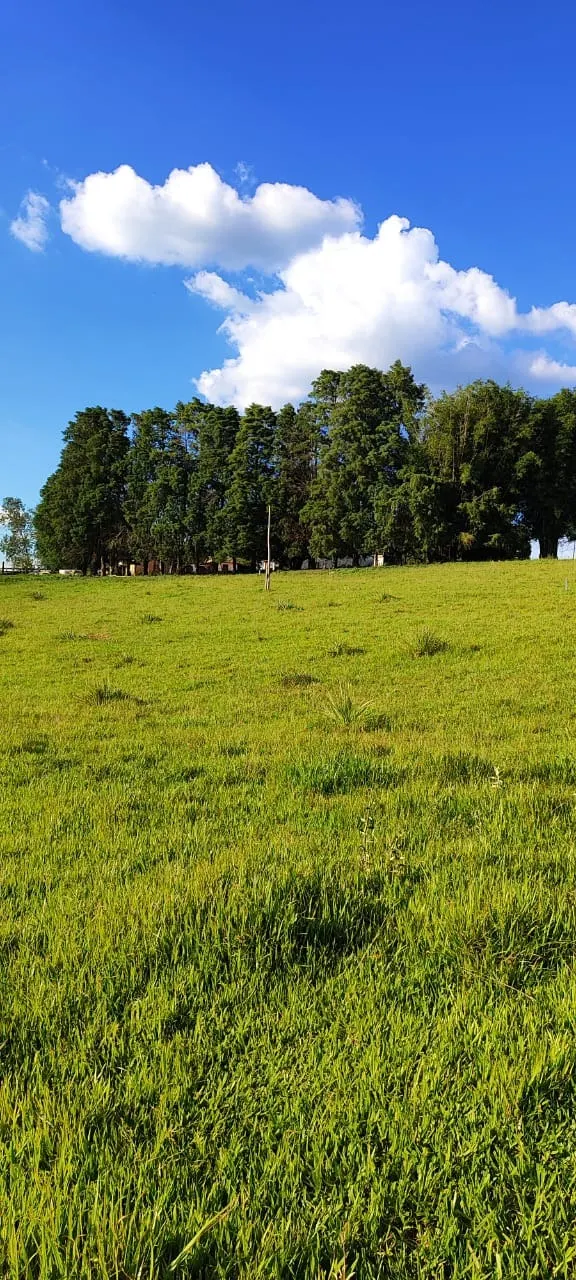 Country home for sale of 30 acres in Itapetininga, SP, Brazil