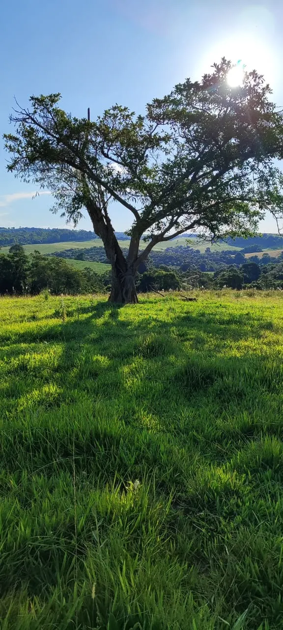 Country home for sale of 30 acres in Itapetininga, SP, Brazil