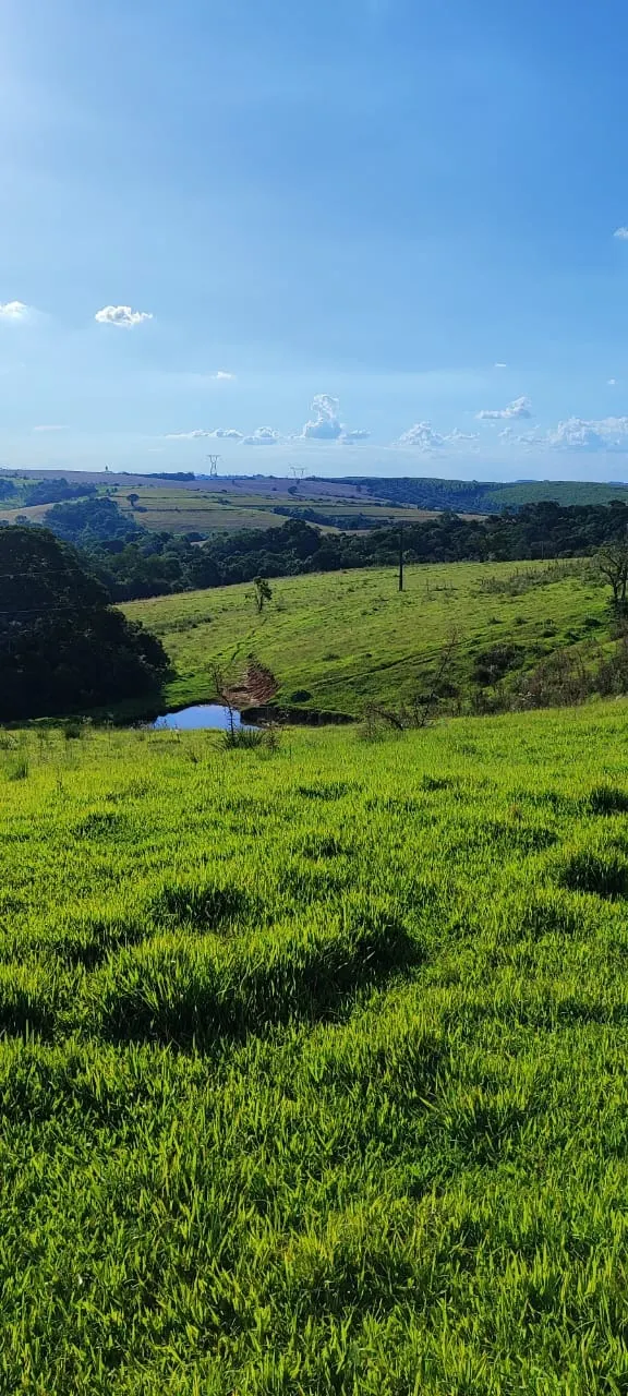 Country home for sale of 30 acres in Itapetininga, SP, Brazil