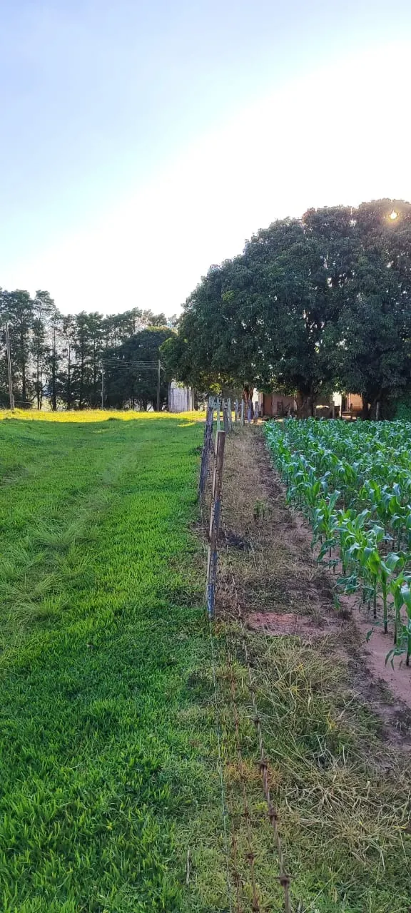 Country home for sale of 30 acres in Itapetininga, SP, Brazil