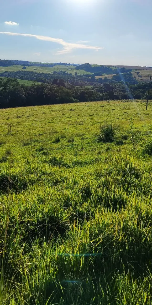 Country home for sale of 30 acres in Itapetininga, SP, Brazil