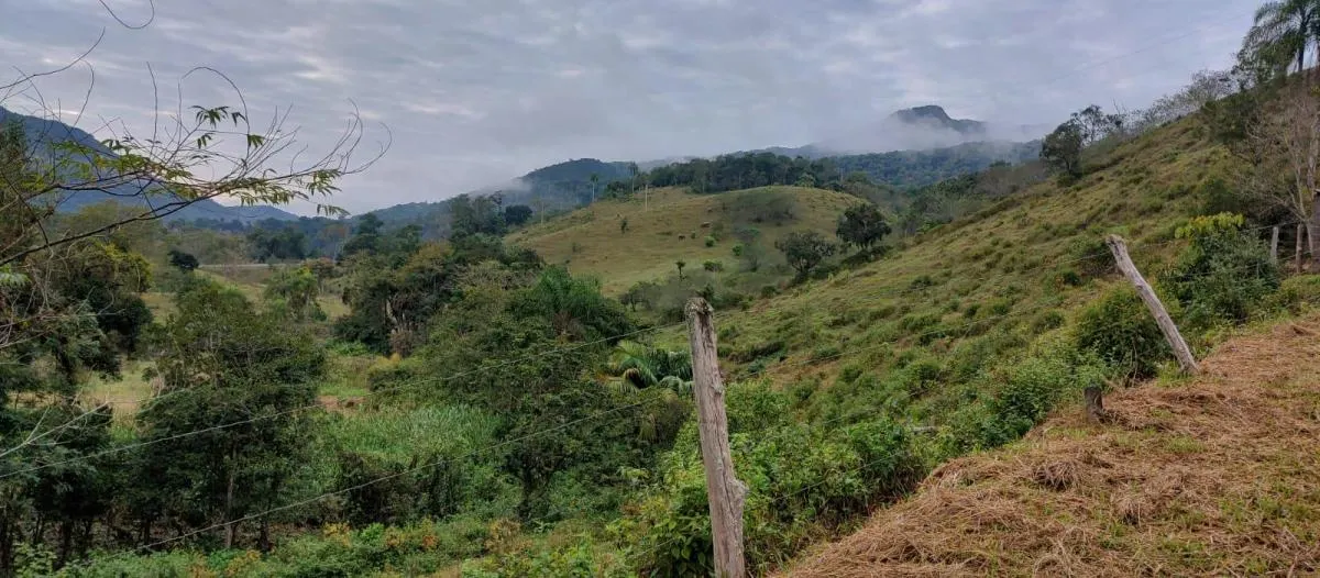 Fazenda à venda de 97 ha em Eldorado, SP, Brasil