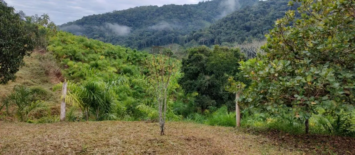 Fazenda à venda de 97 ha em Eldorado, SP, Brasil