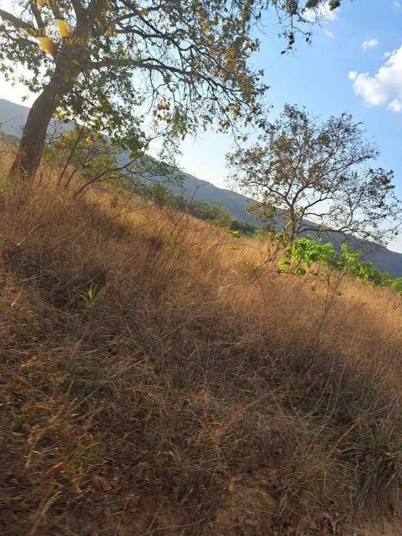 Fazenda à venda de 1.200 ha em Rosário Oeste, MT, Brasil