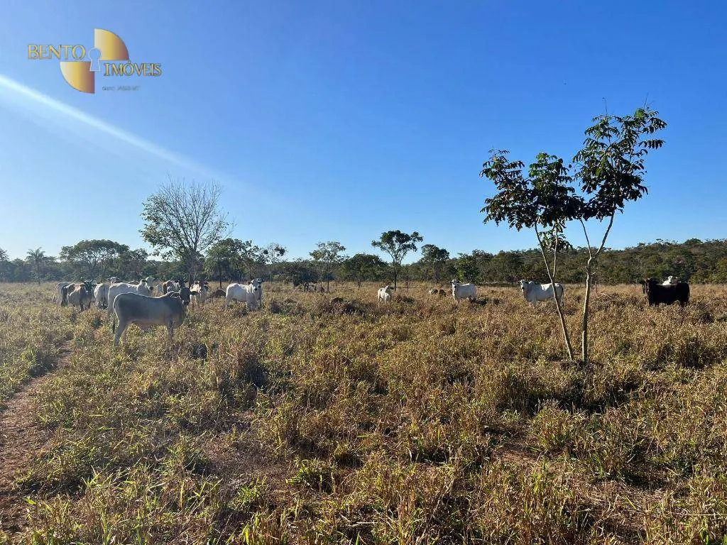 Farm for sale of 5,174 acres in Santa Rita do Trivelato, MT, Brazil