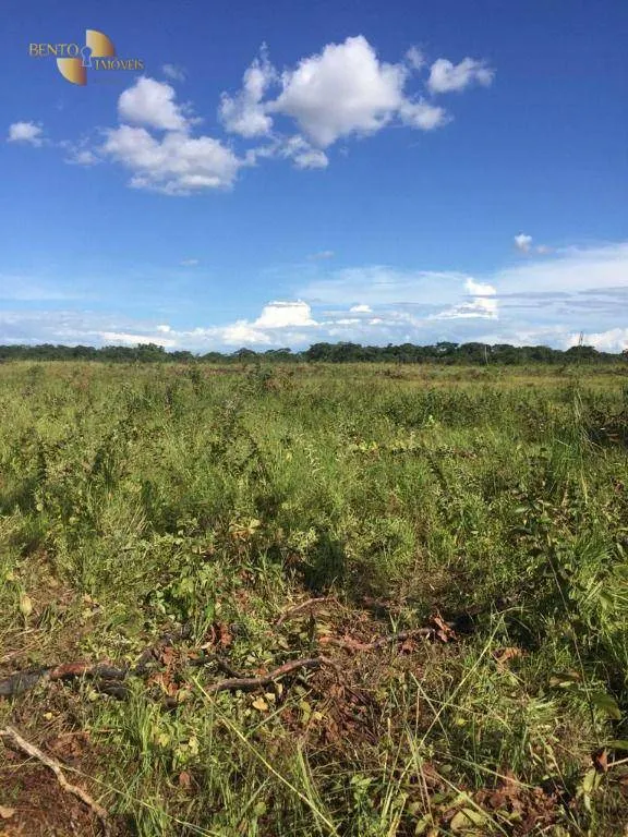 Farm for sale of 5,174 acres in Santa Rita do Trivelato, MT, Brazil