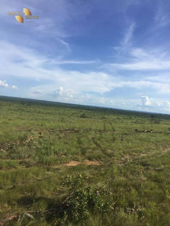 Farm for sale of 5,174 acres in Santa Rita do Trivelato, MT, Brazil