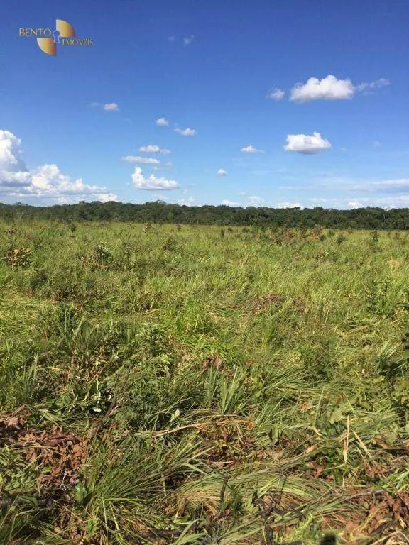 Farm for sale of 5,174 acres in Santa Rita do Trivelato, MT, Brazil