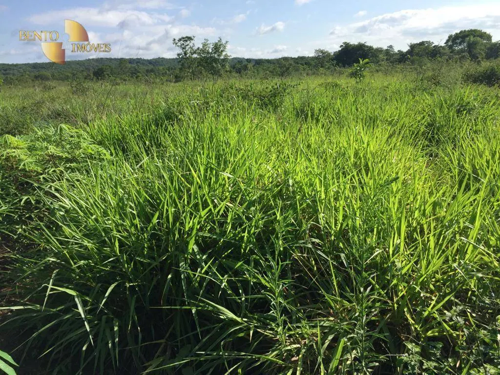 Farm for sale of 5,174 acres in Santa Rita do Trivelato, MT, Brazil