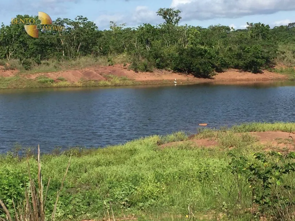 Farm for sale of 5,174 acres in Santa Rita do Trivelato, MT, Brazil