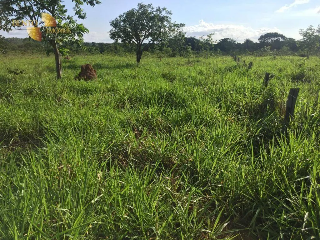 Farm for sale of 5,174 acres in Santa Rita do Trivelato, MT, Brazil