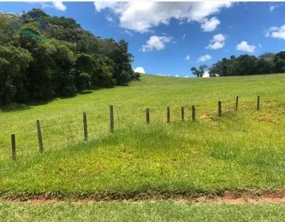 Small farm for sale of 50 acres in Piracaia, SP, Brazil