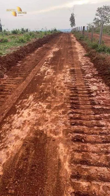 Fazenda à venda e para Arrendar de 1.830 ha em Brasnorte, MT, Brasil