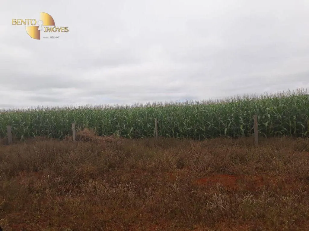 Fazenda à venda e para Arrendar de 1.830 ha em Brasnorte, MT, Brasil