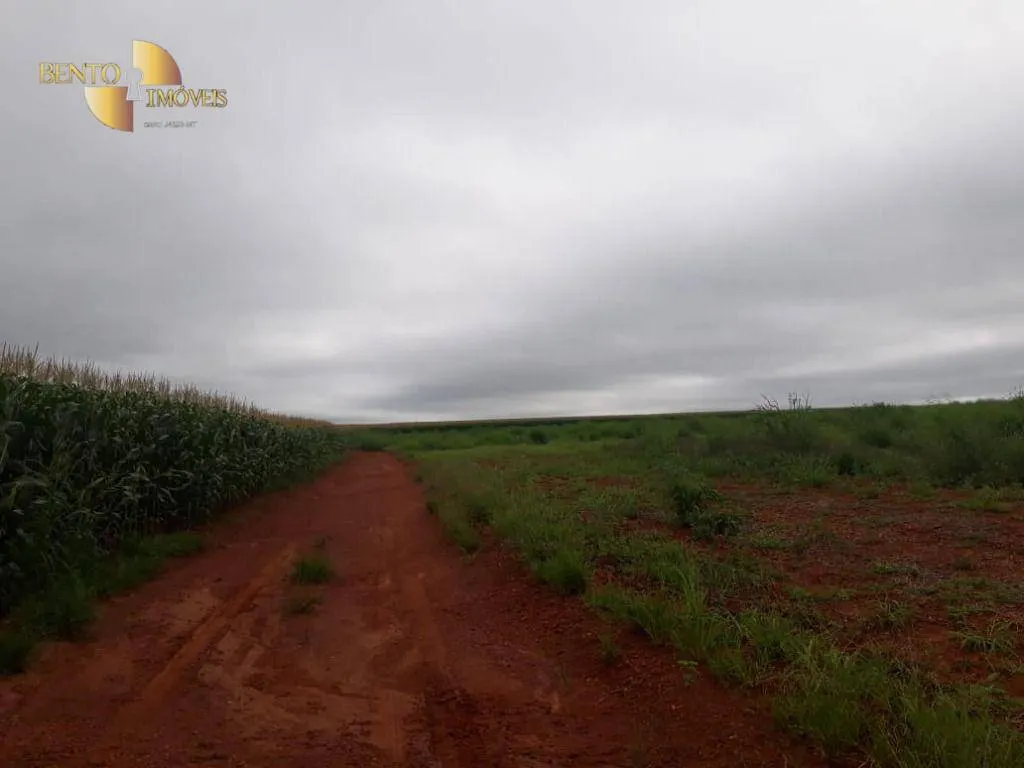 Fazenda à venda e para Arrendar de 1.830 ha em Brasnorte, MT, Brasil