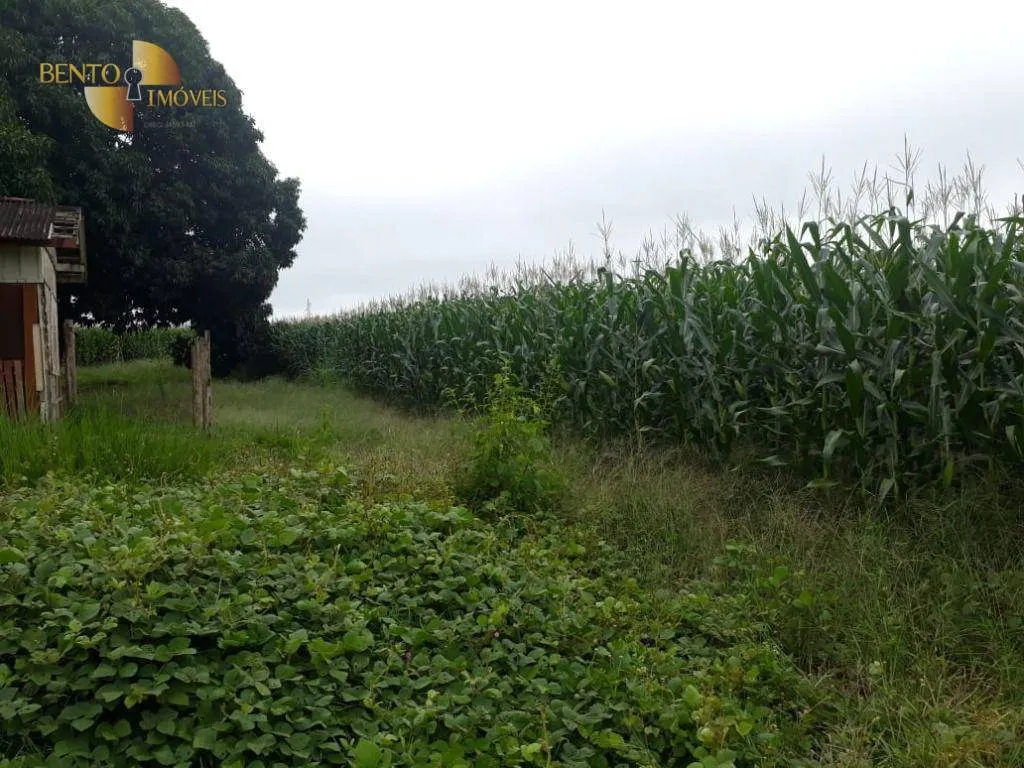 Fazenda à venda e para Arrendar de 1.830 ha em Brasnorte, MT, Brasil