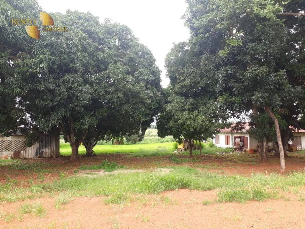 Fazenda à venda e para Arrendar de 1.830 ha em Brasnorte, MT, Brasil