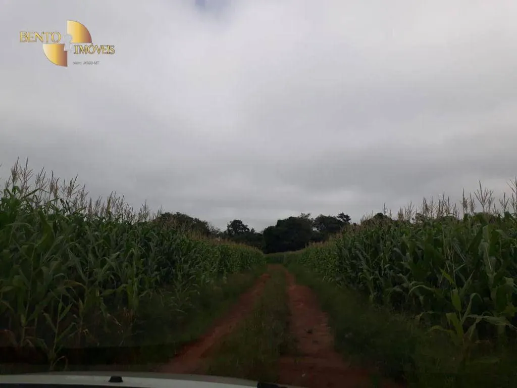 Fazenda à venda e para Arrendar de 1.830 ha em Brasnorte, MT, Brasil