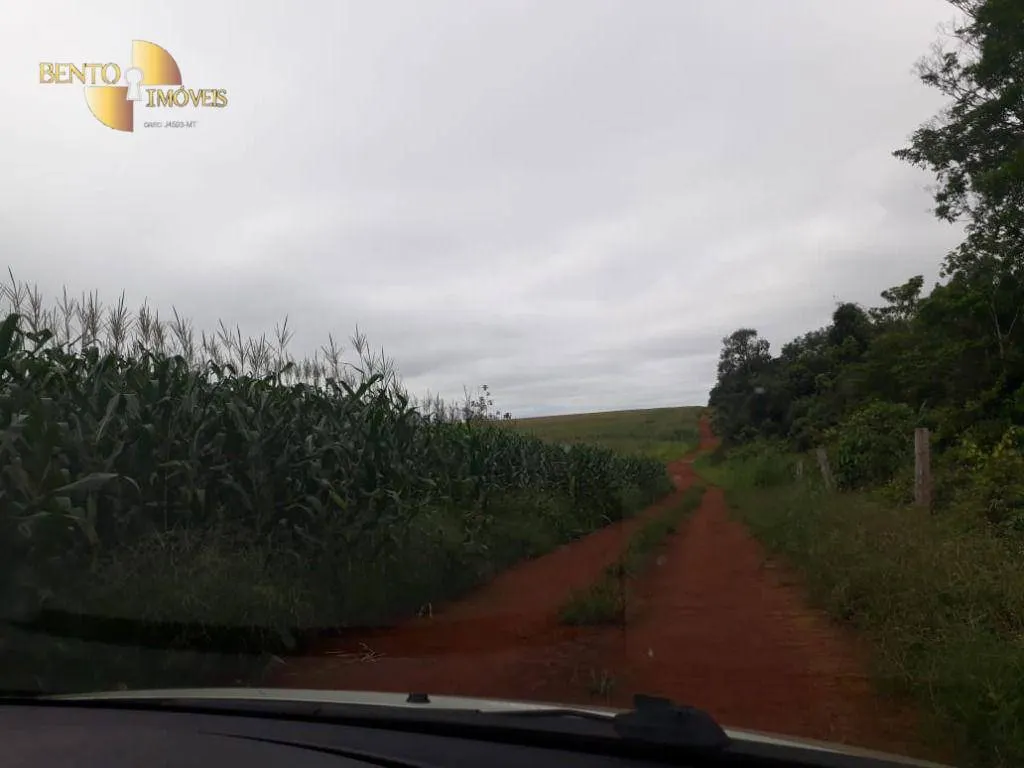 Fazenda à venda e para Arrendar de 1.830 ha em Brasnorte, MT, Brasil