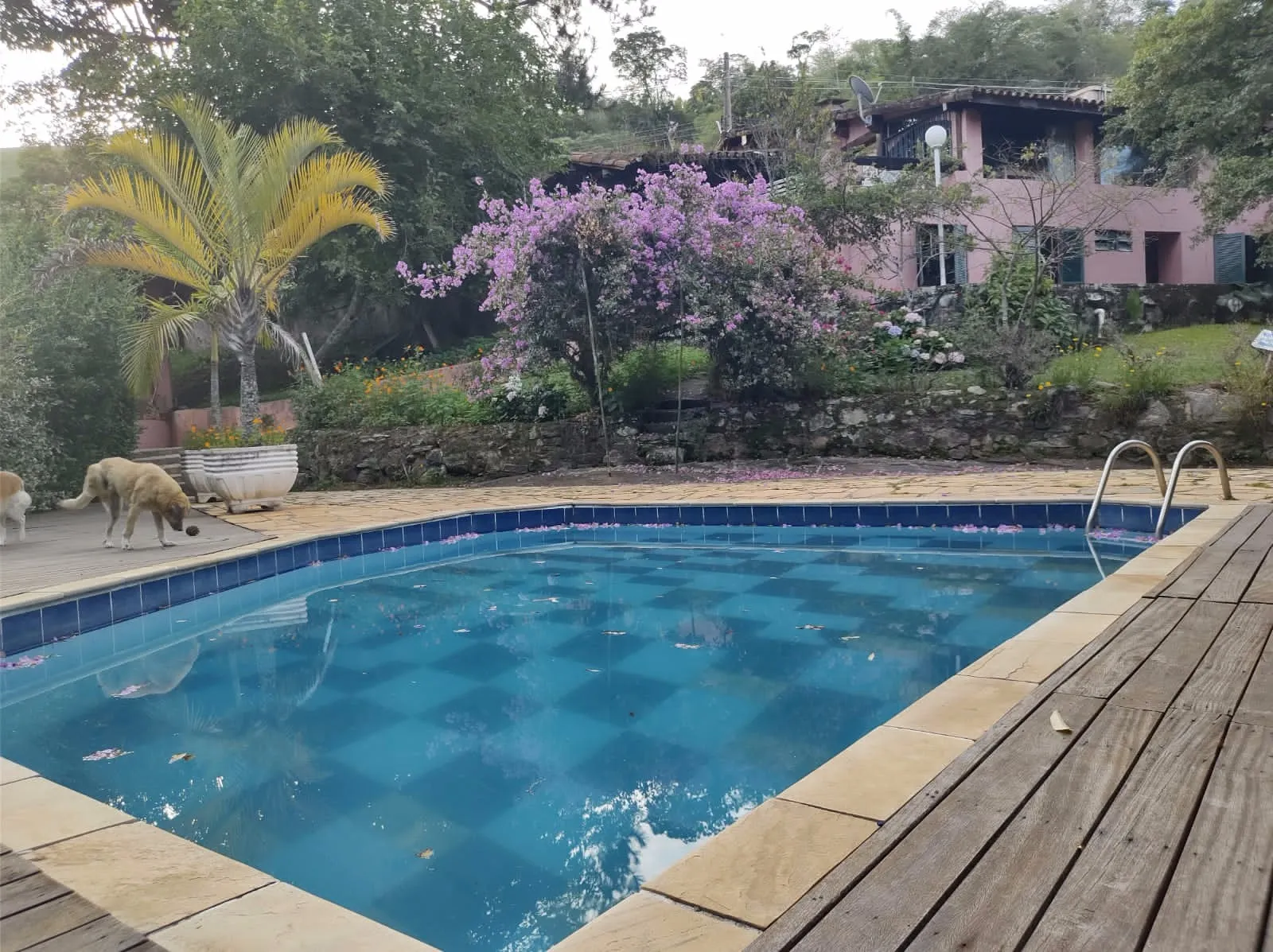 Chácara à venda de 2.600 m² em Jambeiro, SP, Brasil