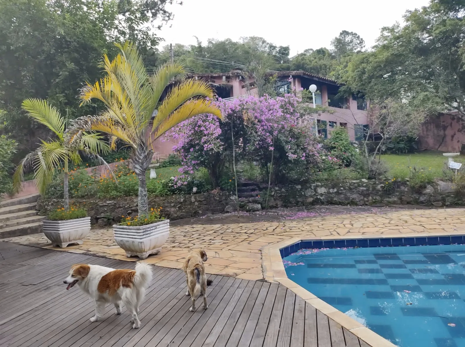 Chácara à venda de 2.600 m² em Jambeiro, SP, Brasil