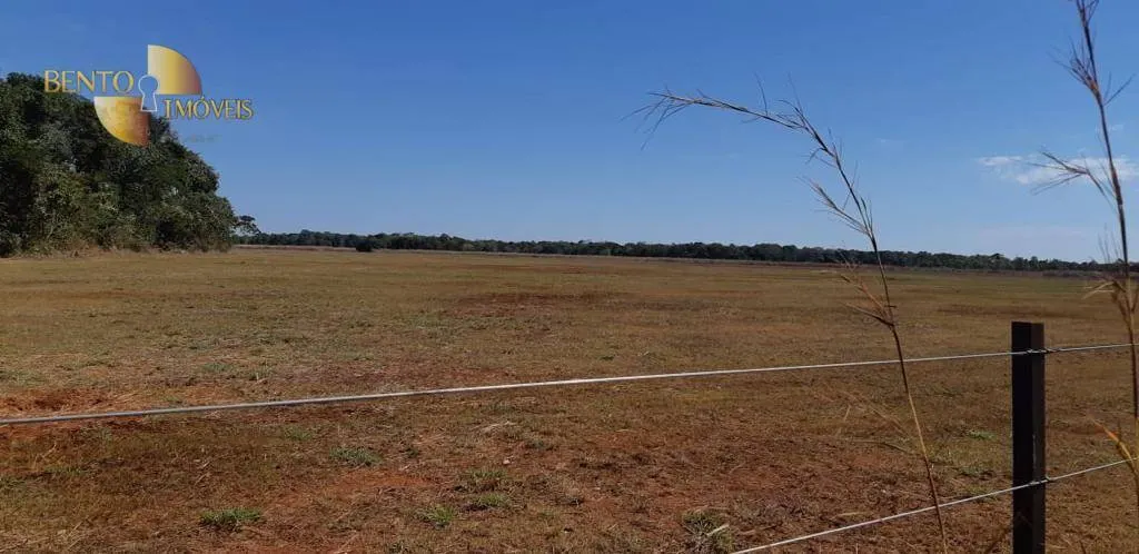 Fazenda à venda de 332 ha em Acorizal, MT, Brasil