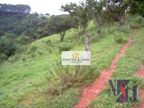 Small farm for sale of 60 acres in Taubaté, SP, Brazil
