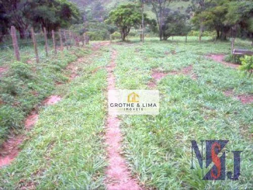 Small farm for sale of 60 acres in Taubaté, SP, Brazil