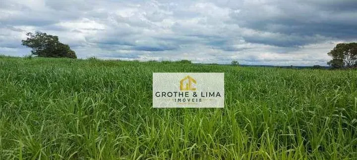 Farm for sale of 10,620 acres in Colinas do Tocantins, TO, Brazil