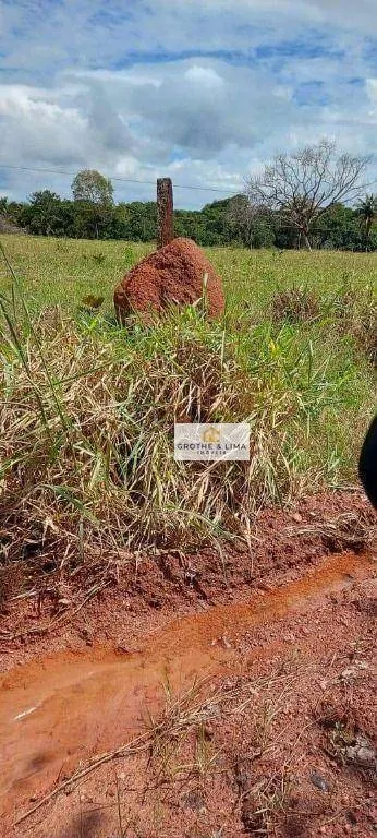 Farm for sale of 10,620 acres in Colinas do Tocantins, TO, Brazil