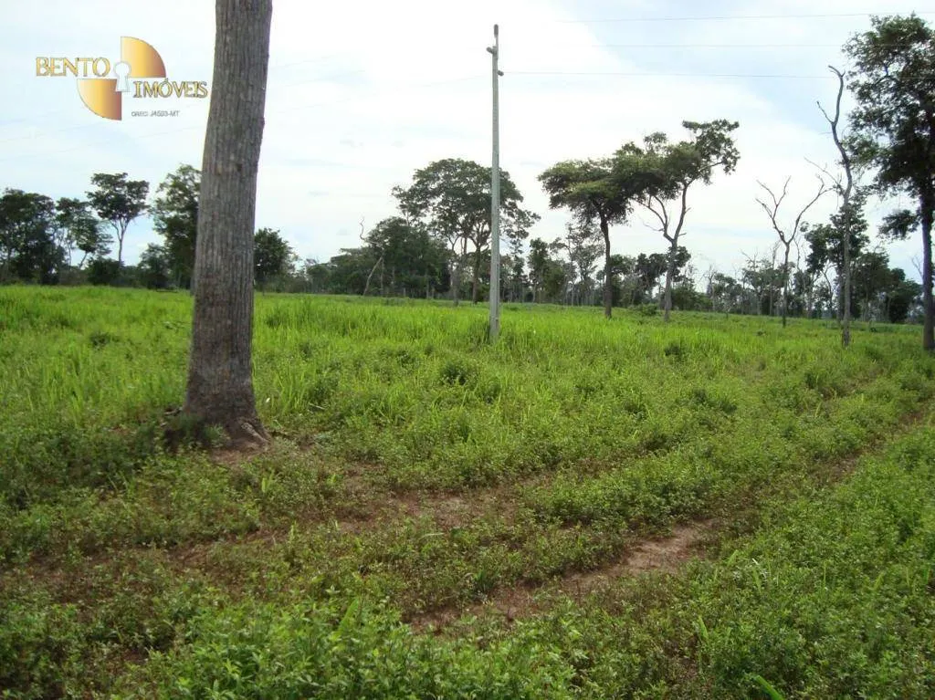 Fazenda à venda de 11.922 ha em Vila Bela da Santíssima Trindade, MT, Brasil
