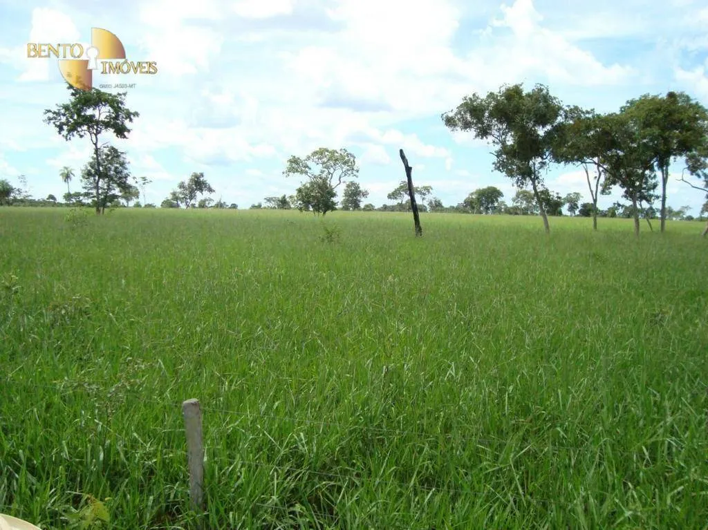 Fazenda à venda de 11.922 ha em Vila Bela da Santíssima Trindade, MT, Brasil