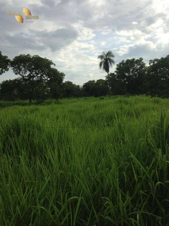 Fazenda à venda de 11.922 ha em Vila Bela da Santíssima Trindade, MT, Brasil