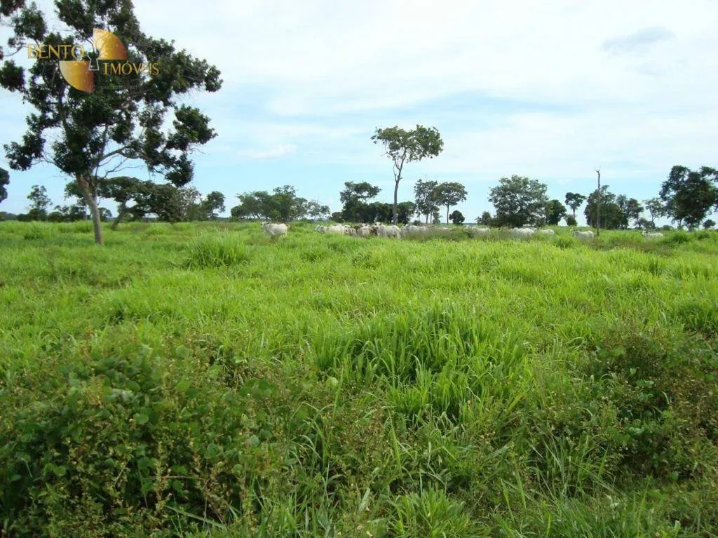 Fazenda à venda de 11.922 ha em Vila Bela da Santíssima Trindade, MT, Brasil