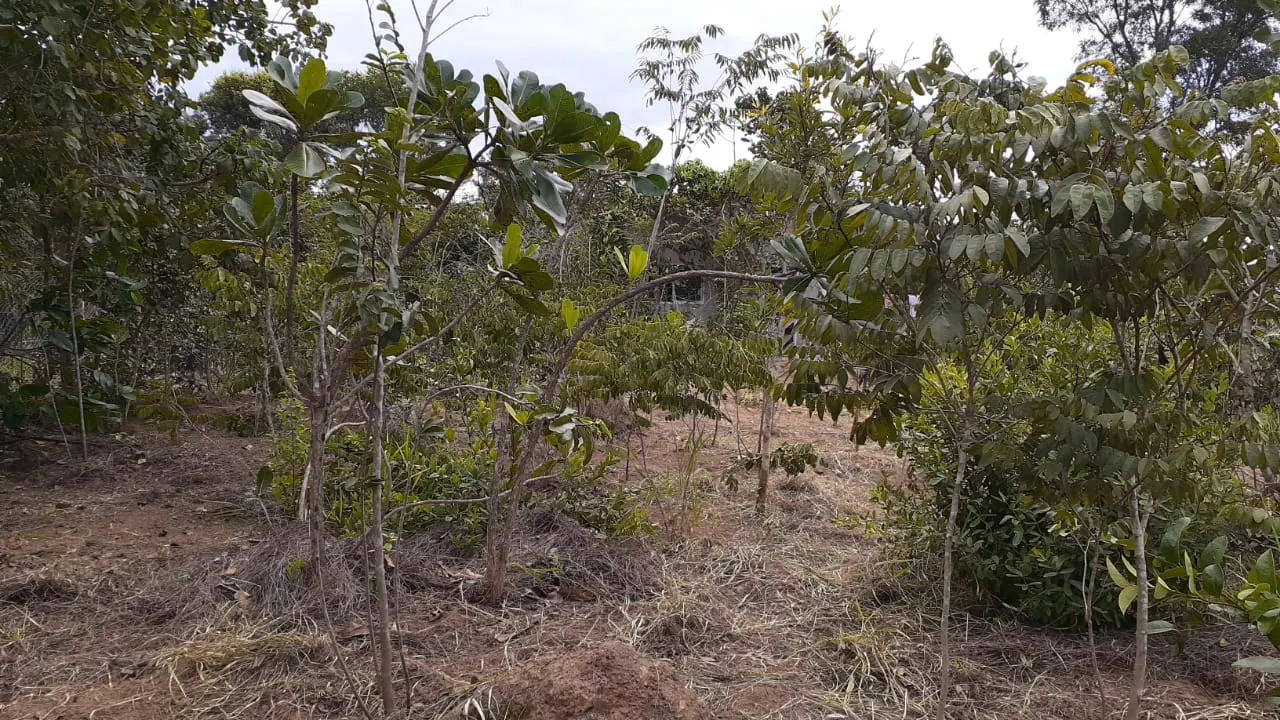 Terreno à venda de 1.000 m² em Cavalcante, GO, Brasil