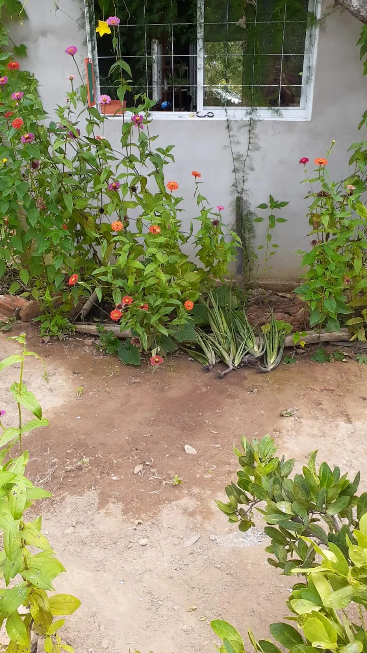Terreno à venda de 1.000 m² em Cavalcante, GO, Brasil