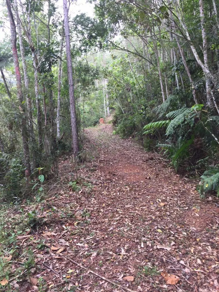 Sítio à venda de 17 ha em São José dos Campos, SP, Brasil