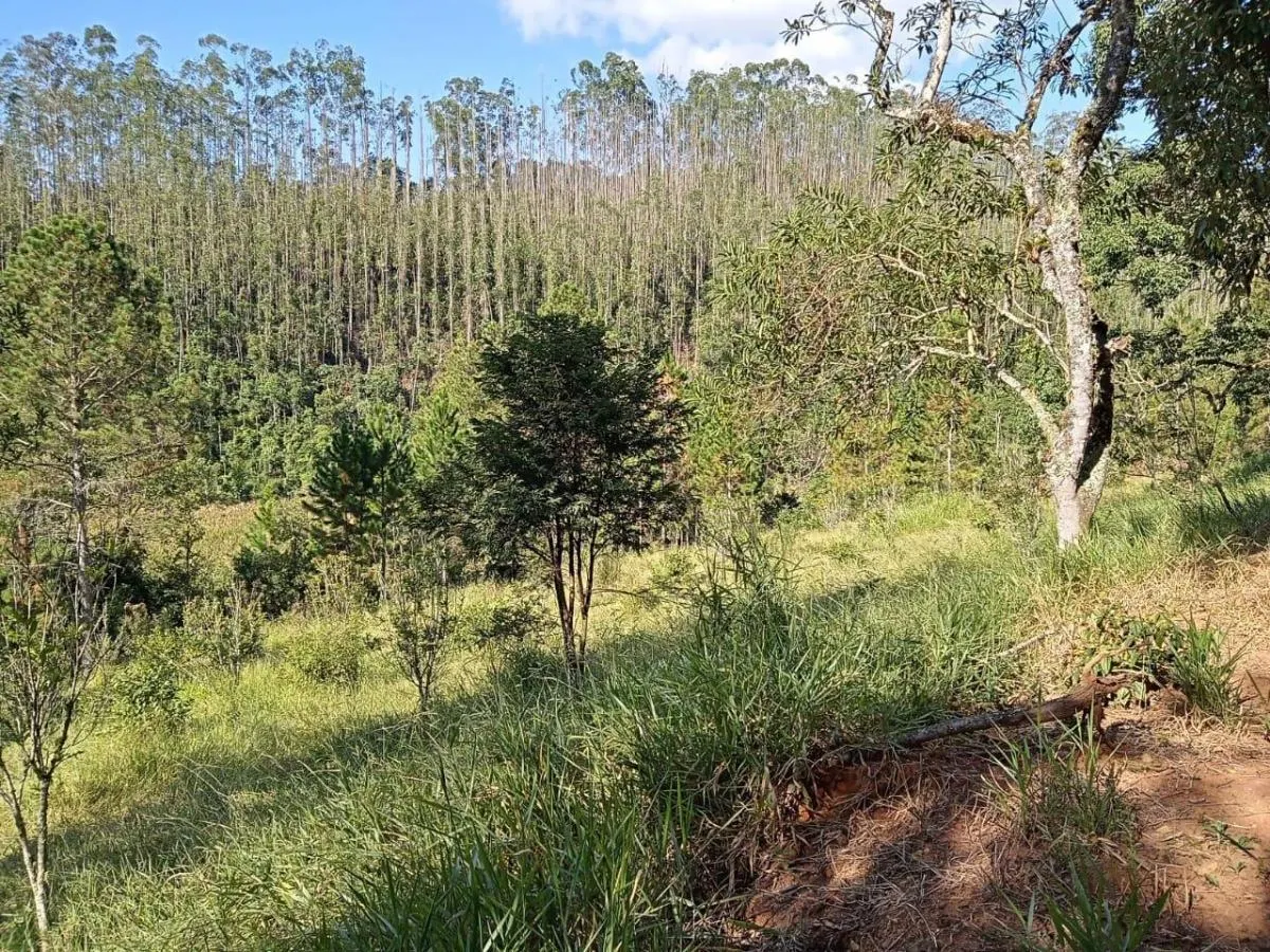Sítio à venda de 17 ha em São José dos Campos, SP, Brasil