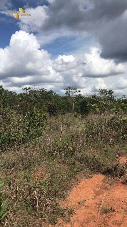 Fazenda à venda de 5.995 ha em Sinop, MT, Brasil