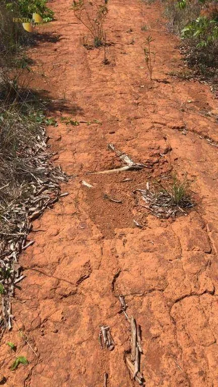 Fazenda à venda de 5.995 ha em Sinop, MT, Brasil